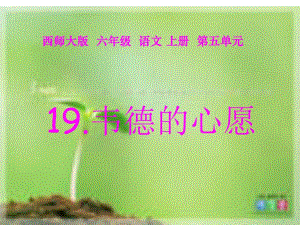 杨韦德的心愿精品教育.ppt