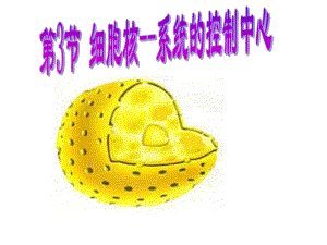 细胞核的课件精品教育.ppt