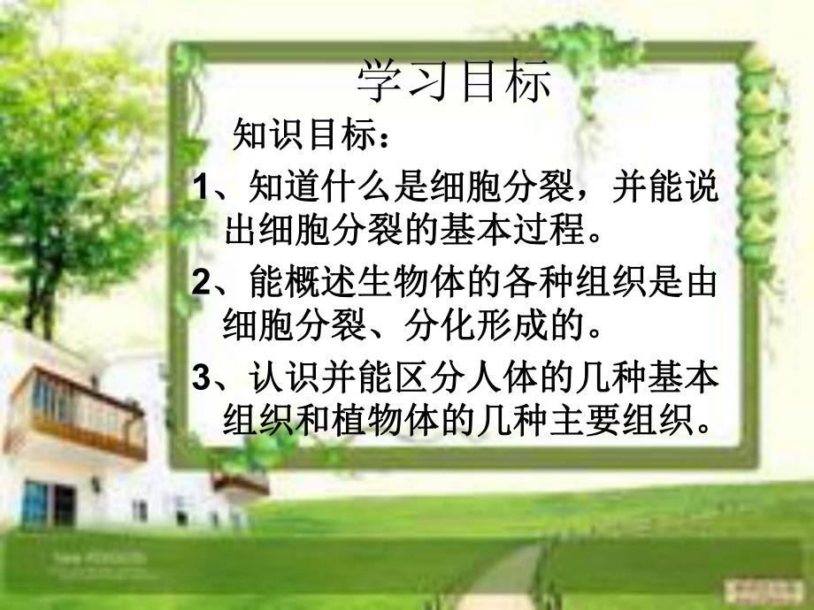 细胞分裂与分化ppt精品教育.ppt_第2页