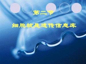 细胞核是遗传信息库ppt精品教育.ppt