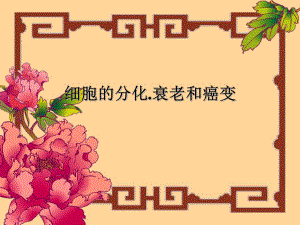 细胞的分化衰老精品教育.ppt