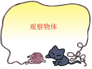 观察物体精品教育.ppt