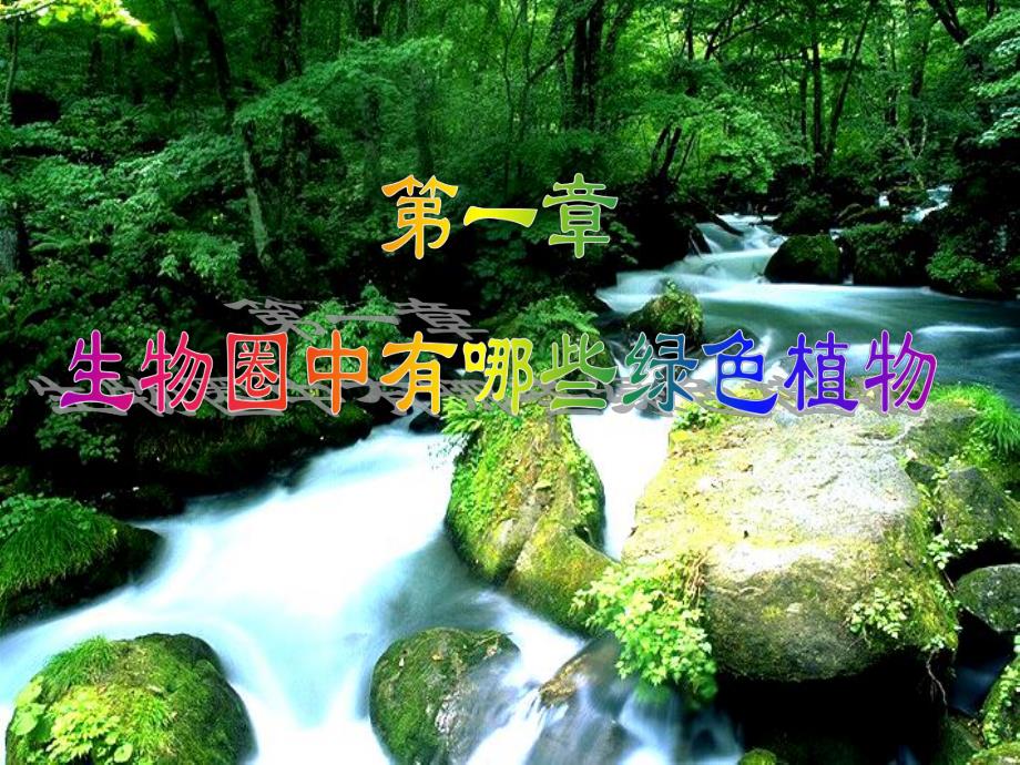 藻类植物、苔藓植物、蕨类植物精品教育.ppt_第1页