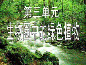 藻类苔藓和蕨类植物精品教育.ppt