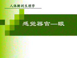 感觉器官视器.ppt
