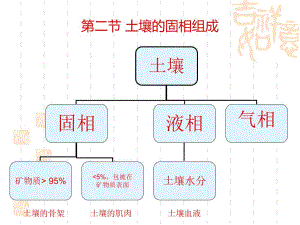 土壤的固相组成.ppt
