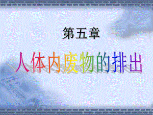 尿的形成和排出公开课.ppt