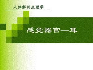 感觉器官耳.ppt
