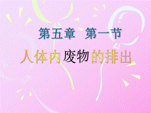 尿的形成和排出课件1.ppt
