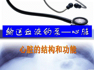 心脏结构和功能.ppt