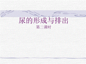 尿的形成和排出1.ppt