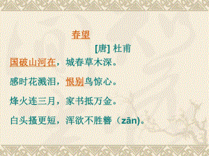 心脏第二课时新.ppt