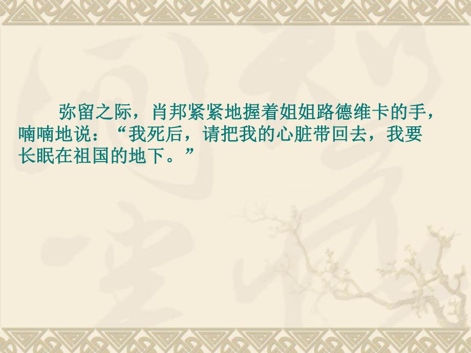 心脏第二课时新.ppt_第3页