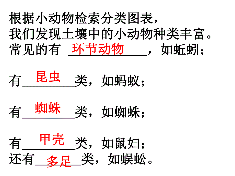 土壤里的小动物.ppt_第2页