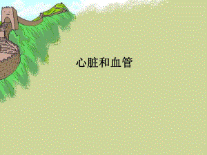 心脏和血管.ppt.ppt