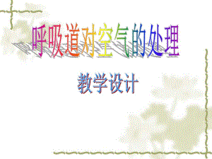 呼吸道对空气的处理.ppt