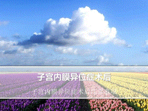 子宫内膜异位症术后名师编辑PPT课件.ppt