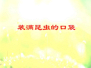 正式装满昆虫的口袋2.ppt