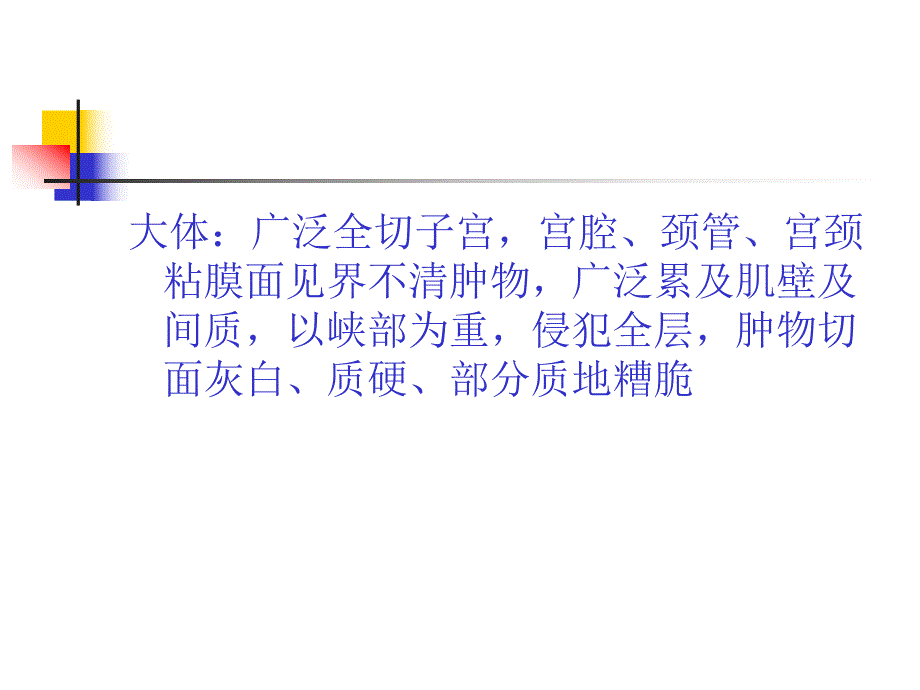 宫颈腺癌中低分化.ppt_第3页