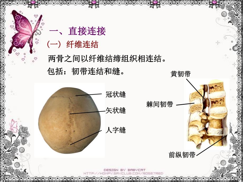 支持与运动骨连结 .ppt_第3页