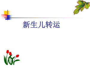 新生儿转运名师编辑PPT课件.ppt