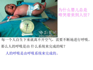 呼吸对空气的处理.ppt