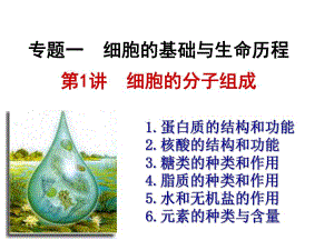 第1讲细胞的分子组成.ppt