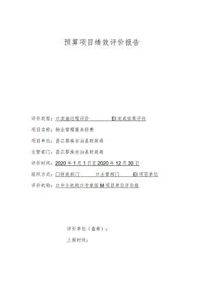 预算项目绩效评价报告.docx