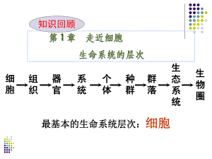 第1章走近细胞生命系统的层次名师编辑PPT课件.ppt