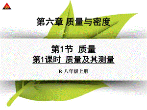 第1课时质量及其测量.ppt