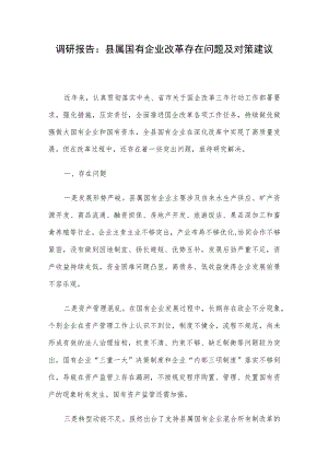调研报告：县属国有企业改革存在问题及对策建议.docx