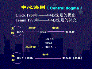 第2章中心法则.ppt