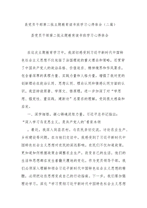 县党员干部第二批主题教育读书班学习心得体会(二篇).docx
