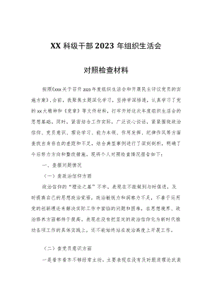 XX科级干部2023年组织生活会对照检查材料.docx