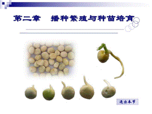 第2章播种繁殖与培育.ppt