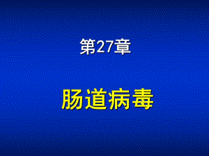 第27章肠道病毒.ppt