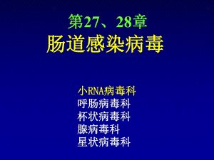 第2728章肠道感染病毒.ppt