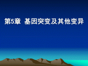第1节基因突变和基因重组名师编辑PPT课件.ppt
