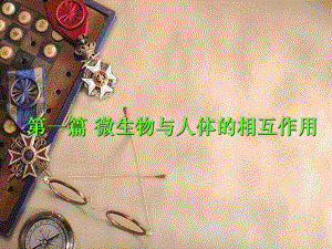 第2章人体正常菌群及其作用.ppt