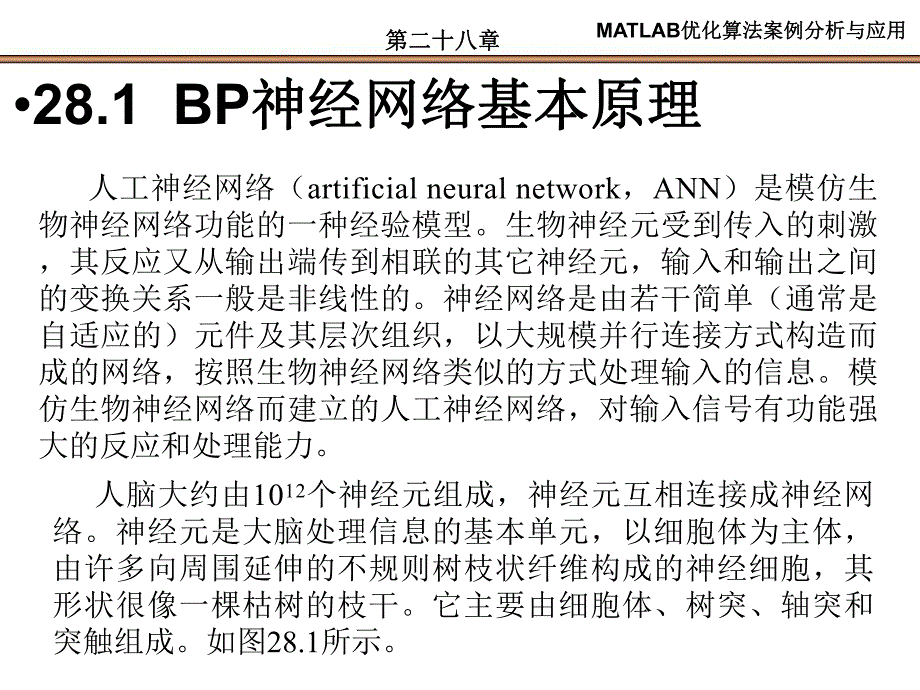 第28章基于BP的数据分类.ppt_第2页