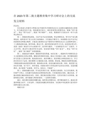 在2023年第二批主题教育集中学习研讨会上的交流发言材料.docx