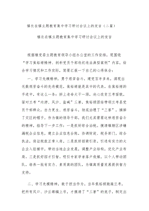 镇长在镇主题教育集中学习研讨会议上的发言(二篇).docx