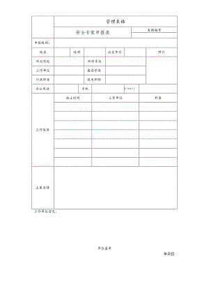 安全专家申报表.docx