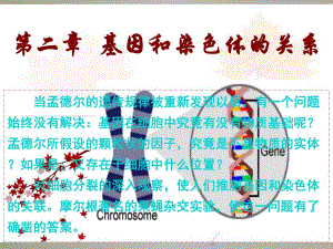 第1节减数分裂和受精作用56张.ppt