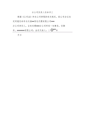 分公司负责人任命书三.docx