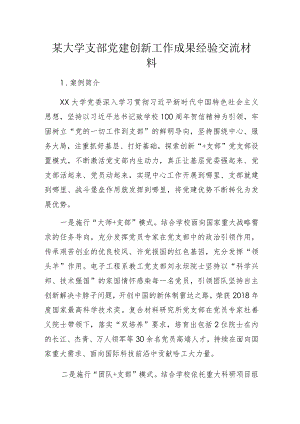某大学支部党建创新成果案例.docx