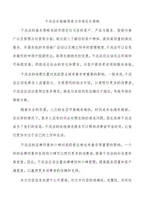 干洗店价格敏感度与市场定价策略.docx
