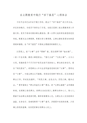 在主题教育中践行“四下基层”心得体会.docx