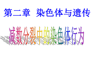 第2章第1节减数分裂中的染色体行为.ppt