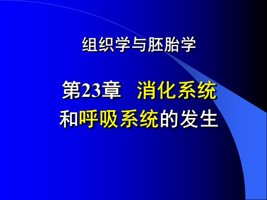 第23章消化系统和呼吸系统的发生.ppt_第2页